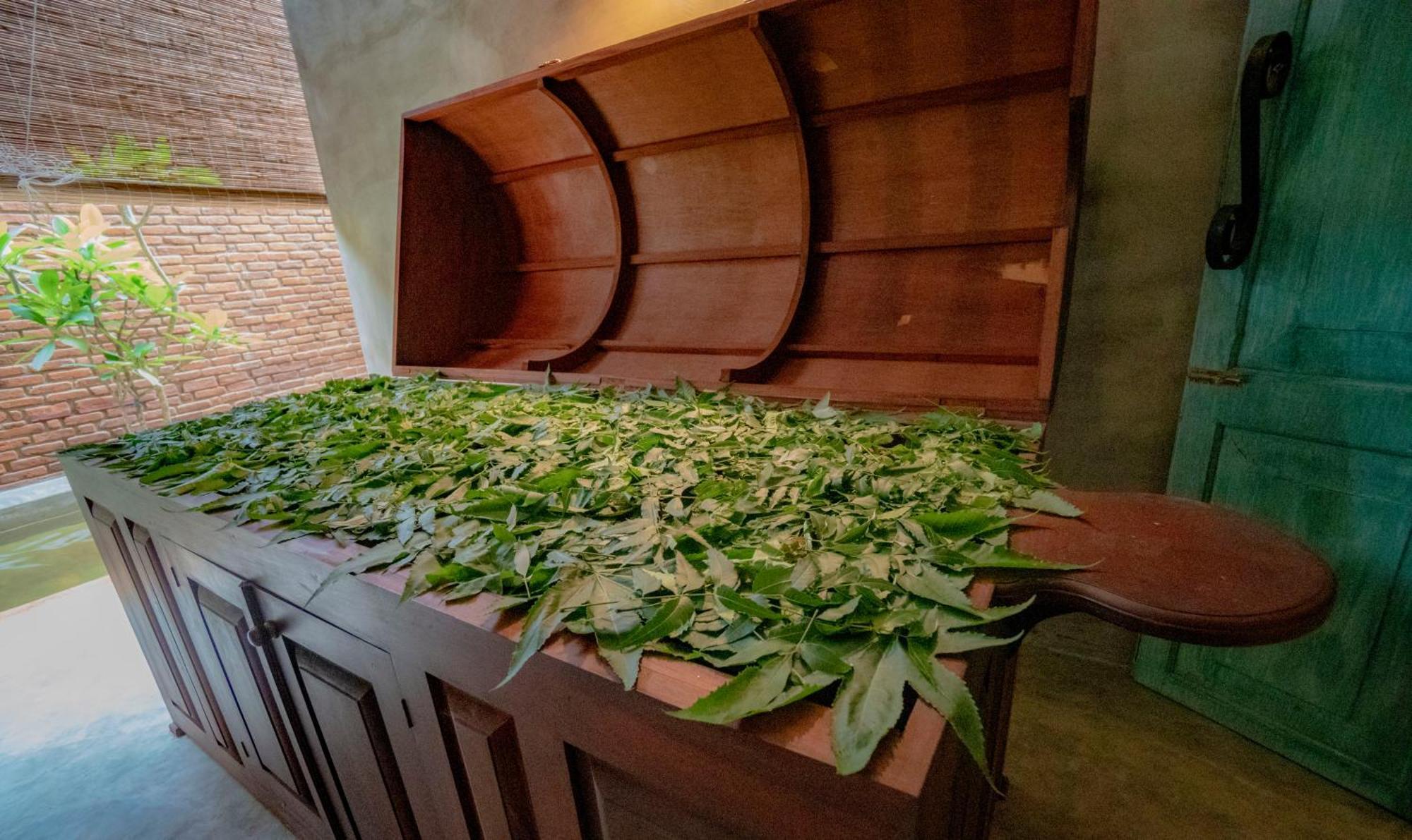 Ayur Ayur Resort & Ayurveda Retreat Negombo Bagian luar foto